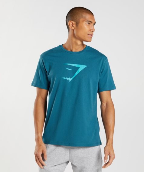 Men's Gymshark Sharkhead Infill T-Shirts Turquoise | CA 8NA361